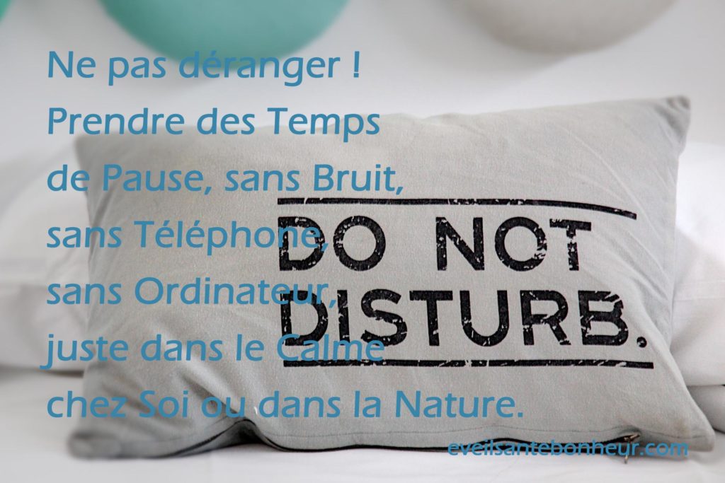 Faire la Pause Silence pour calmer le corps, les émotions, le cerveau et s'ouvrir à l'inspiration.