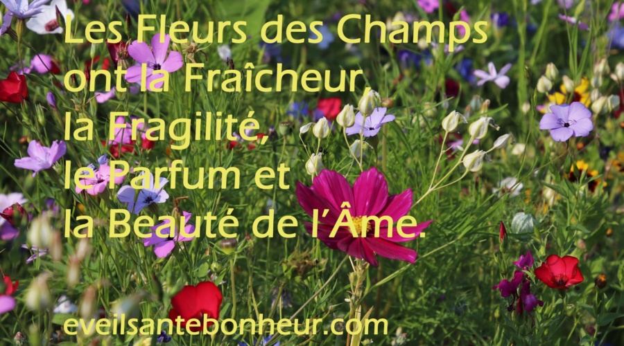 Fleurs des Champs, Fleurs de l’Âme